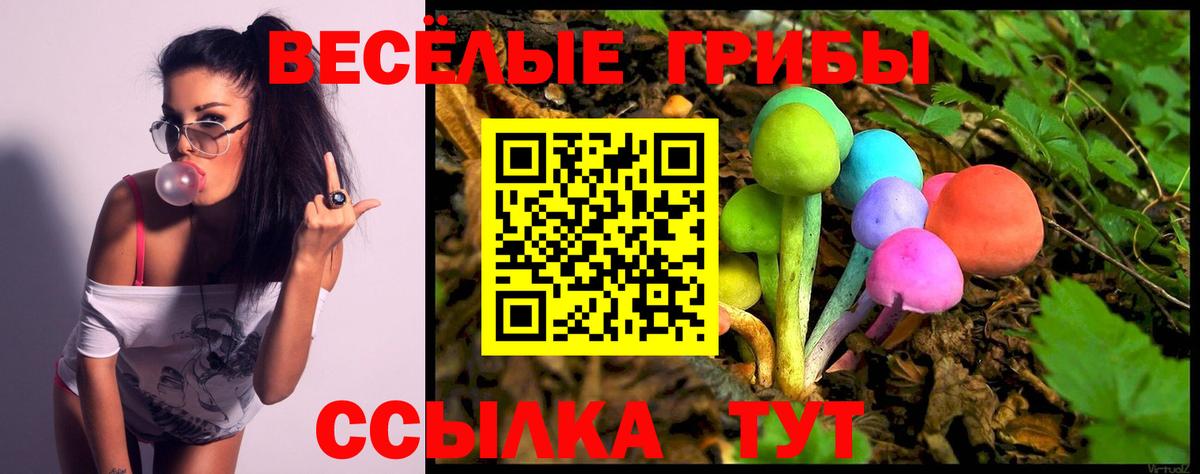 Псилоцибиновые грибы Cubensis  Псилоцибиновые грибы Magic Shrooms  Вход с VPN  Мелеуз 